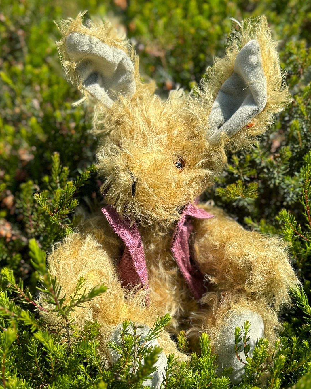 Buntin - Jacqueline's Bears