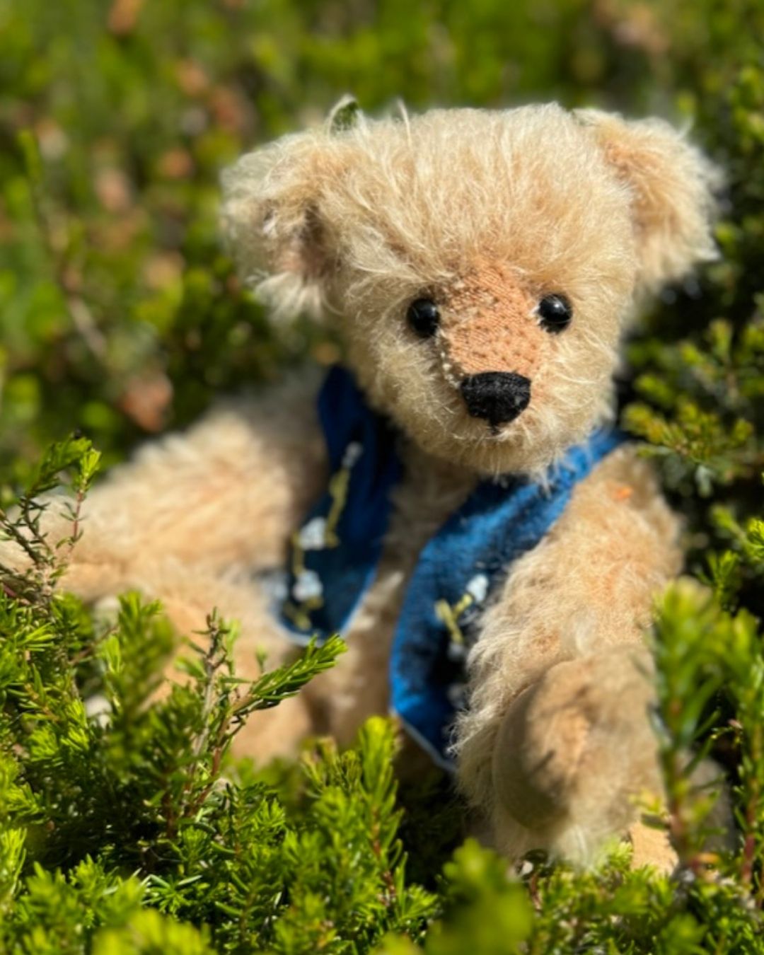 Jacqueline's Bears